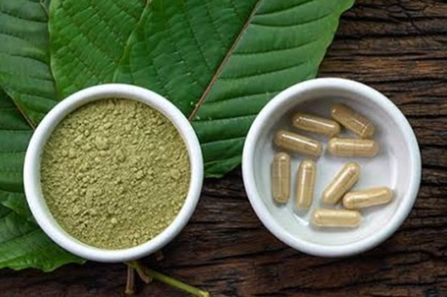 obrázek kratomu