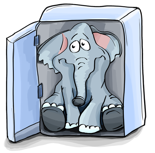 slon v lednici